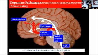 Transcranial Direct Current Stimulation by DrLinda Sherine [upl. by Ennyroc]