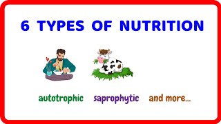 6 Types of Nutrition Autotrophic Holozoic Saprophytic [upl. by Greta]