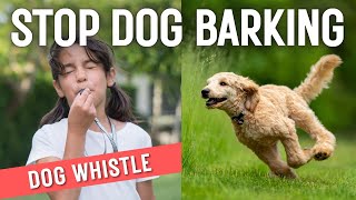 Dog Whistle Sound To Stop Dogs Barking Not compatible with iPhone [upl. by Einnig374]