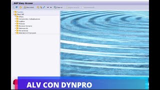 ALV con DYNPRO  BASICO [upl. by Ailahs]