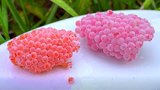 ASMR Crushed snail eggs  Apple snail Eggs ASMR 🐌47 [upl. by Lenwood]