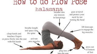 Halasana quotPlow posequot Yoga Steps 2018 Right now [upl. by Annaya]