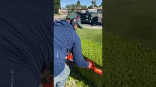 Hand Held Hedge Trimmer in Use [upl. by Savihc297]