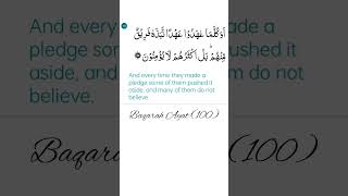 Baqarah Ayat 100 Meaning in English [upl. by Einaoj]