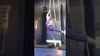 Trapeze in 2019 aerialsilks aerialarts aerialdance circus [upl. by Opportuna]