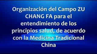 Organización del Campo ZU CHANG FA para el entendimiento Medicina Tradicional China [upl. by Haden]