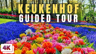 Keukenhof Full Guided Tour [upl. by Ahsirkal]