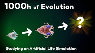 What happens after 1000 hours of Evolution Recreating the largest evolution experiment ever [upl. by Namzaj]