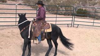 Richard Alaniz Mustang Colt Starting Part 2 [upl. by Louise]