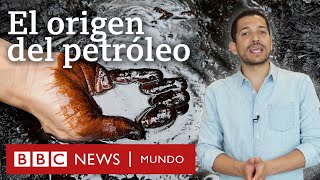 Cuál es el origen del petróleo y no no viene de los dinosaurios  BBC Mundo [upl. by Marchall552]