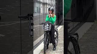 KLICKfix  Reisenthel Bikebasket [upl. by Rowney585]