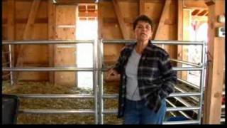 Caring for Alpacas  Weaning Alpacas [upl. by Jeniece]