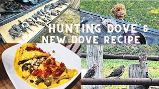 Hunting Doves and Making a Dove omelette ranchero [upl. by Yoccm]