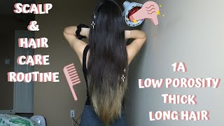 💁🏻‍♀️ My Scalp amp Hair Care Routine 2020  1A Low Porosity  michxmash [upl. by Anoli402]