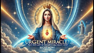 Urgent Miracle Pray This Prayer to Our Lady of the Impossible Right Now [upl. by Acnairb]