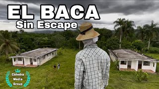 EL BACA Sin Escape PELICULA DOMINICANA MEJOR PELÍCULA 2024 Suspenso [upl. by Brandes]