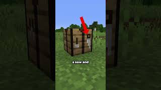 Crafting Table as Compass 🧭 🛠️📦 ➡️ 🧭❓ minecraft [upl. by Ransell]