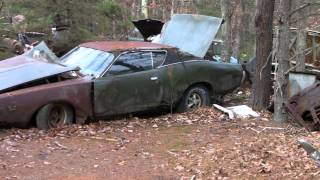 VINTAGE JUNKYARD EXPLORATION part 7 [upl. by Hackett528]