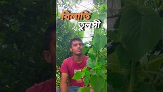 তোকমা পাতার উপকারিতা সম্পর্কে জানুন agriculture health ytshorts shorts পাইলস [upl. by Mailiw]