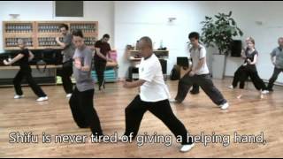 Tai Ji Pi  Mei Hua Tanglang Quan  Taiji Arts Vienna [upl. by Santana]