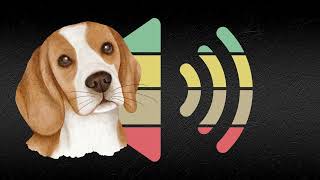 Sounds to entertain your dog [upl. by Aderb]