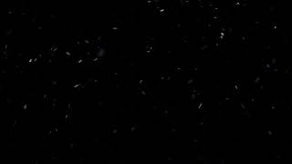 Huge Dust Particles Overlay  Free HD Vfx Footage [upl. by Cherish]