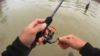 White Bass Run Trinity River Dam N lock 2024 whitebass fishingfishing fishing cauca câucá [upl. by Gnen372]