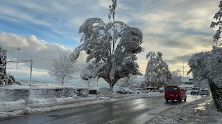 Zürich￼ WädenswilswitzelandViele Schnee kommt❄️❄️❄️ [upl. by Ehtylb]