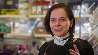 Dr Yasmine Belkaids Research on the Microbiomes Role in Immune Regulation [upl. by Kary]