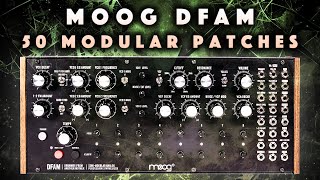 Moog DFAM Modular Grooves PatchesPatterns No Talk Demo [upl. by Song27]