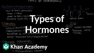 Types of hormones  Endocrine system physiology  NCLEXRN  Khan Academy [upl. by Dorinda]