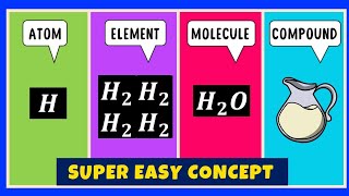 What is the difference between an Atom Element Molecule and Compound [upl. by Netsrak4]