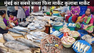 Machhi Market Mumbai  Colaba Sassoon Dock Fish Market  Wholesale Fish Market In Mumbai [upl. by Jeromy]