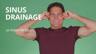 3 Sinus Headache Relief Exercises  Paranasal Sinus Drainage Massage [upl. by Eidissac]