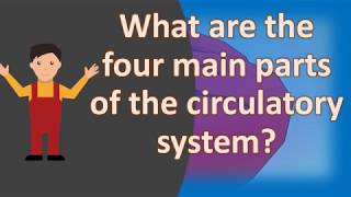 What are the four main parts of the circulatory system   Best Health FAQS [upl. by Makell]