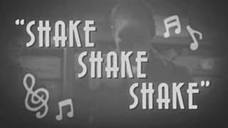 Bronze Radio Return  Shake Shake Shake Official Video [upl. by Razatlab]