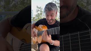 begonvil sezenaksu bülentözdemirgitar [upl. by Anuaf596]