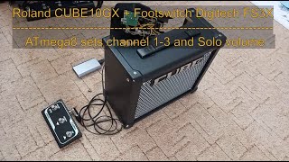 Roland Cube10GX  Footswitch FS3X [upl. by Conlin]