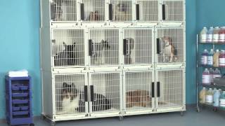 ProSelect Modular Kennel Cages [upl. by Hnil296]