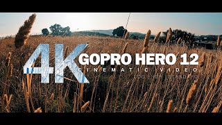 GoPro Hero 12 Cinematic Video Test  Log HDR and Standard [upl. by Viking433]