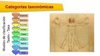 Taxonomía Clasificación de los seres vivos [upl. by Varin]