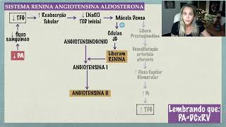 Sistema Renina Angiotensina Aldosterona [upl. by Eesdnil]