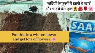 Best Soil Mix and fertiliser for Winter Plants and FlowersGardening Tips By Aryan [upl. by Eneroc]