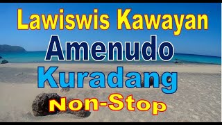 Lawiswis Kawayan  Amenudo  Kuradang NonStop Instrumental  Waray Music [upl. by Nnylannej988]