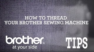 Brother Video Tip How to Thread a Brother Sewing Machine [upl. by Petigny]