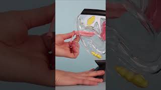 How to Remove a Menstrual Disc [upl. by Ihel]