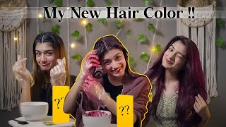 HOW TO EASILY COLOUR YOUR HAIR AT HOME  GARNIER COLOUR NATURALS  NO AMONIA  AMULYA RATTAN [upl. by Farrica514]