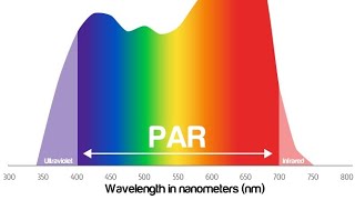 Photosynthetically Active Radiation PAR [upl. by Eilujna95]