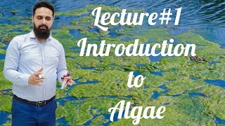 Introduction Of AlgaeThallophytesBscBotanyClass 11 [upl. by Akimad]