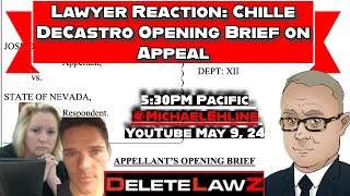 ⚖️📝 Lawyer Reaction Analyzing Chille DeCastros Opening Brief on Appeal [upl. by Ramona]